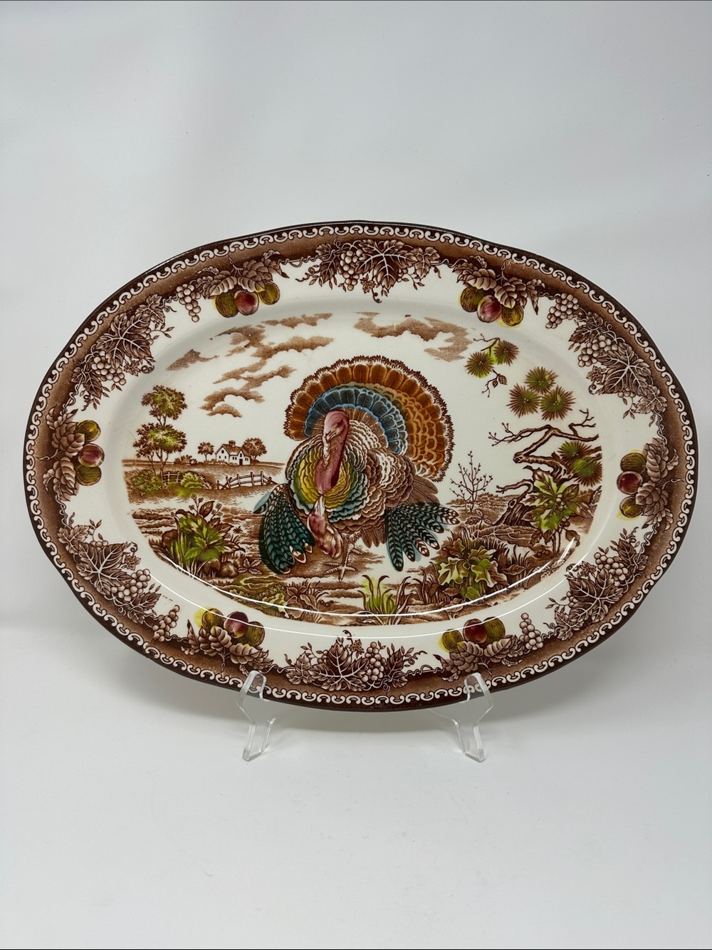 Turkey Thanksgiving Platter Oval Serving Farm Fruit Food Brown